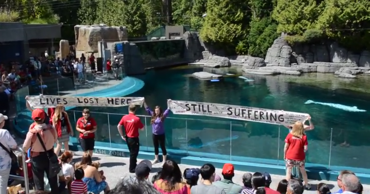 Video: Empty the Tanks protesters unfurl banners in front of Vancouver ...