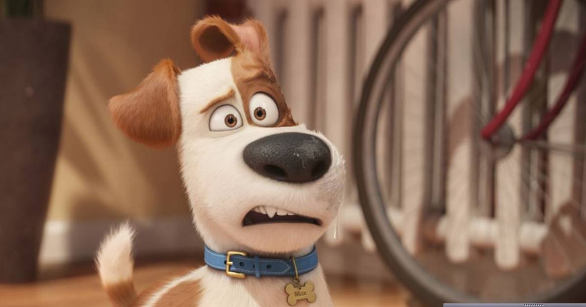 Louis C.K. is the best thing about The Secret Life of Pets | Georgia