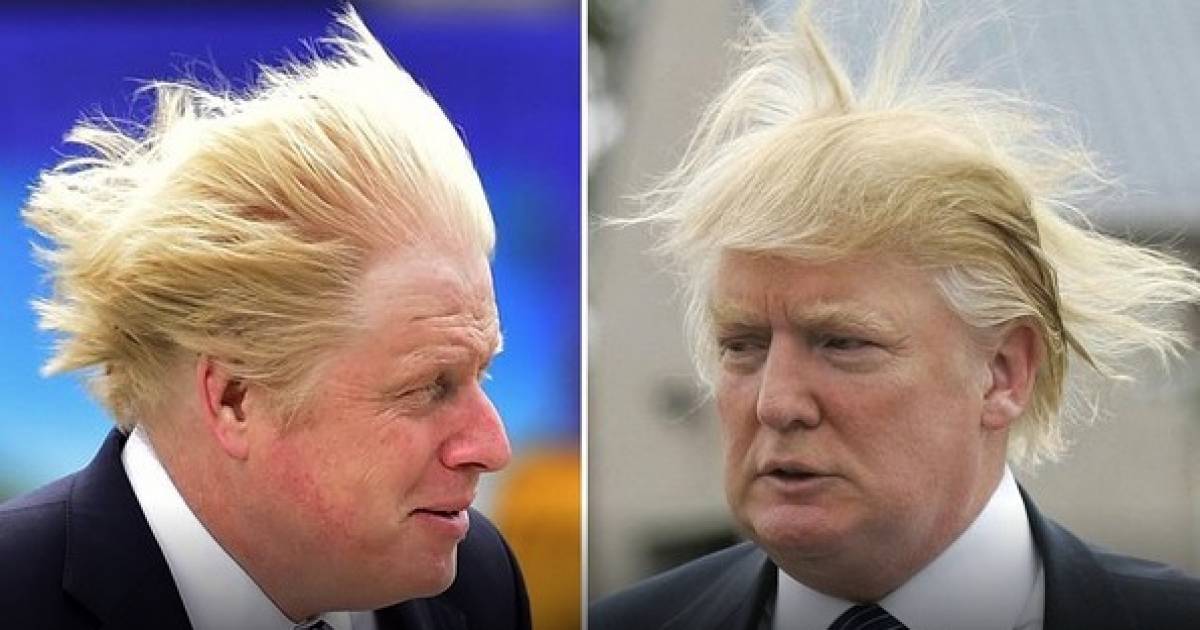 Dumb and Dumber? Fur flies on Twitter after Boris Johnson becomes British  Conservative leader | Georgia Straight Vancouver's News & Entertainment  Weekly