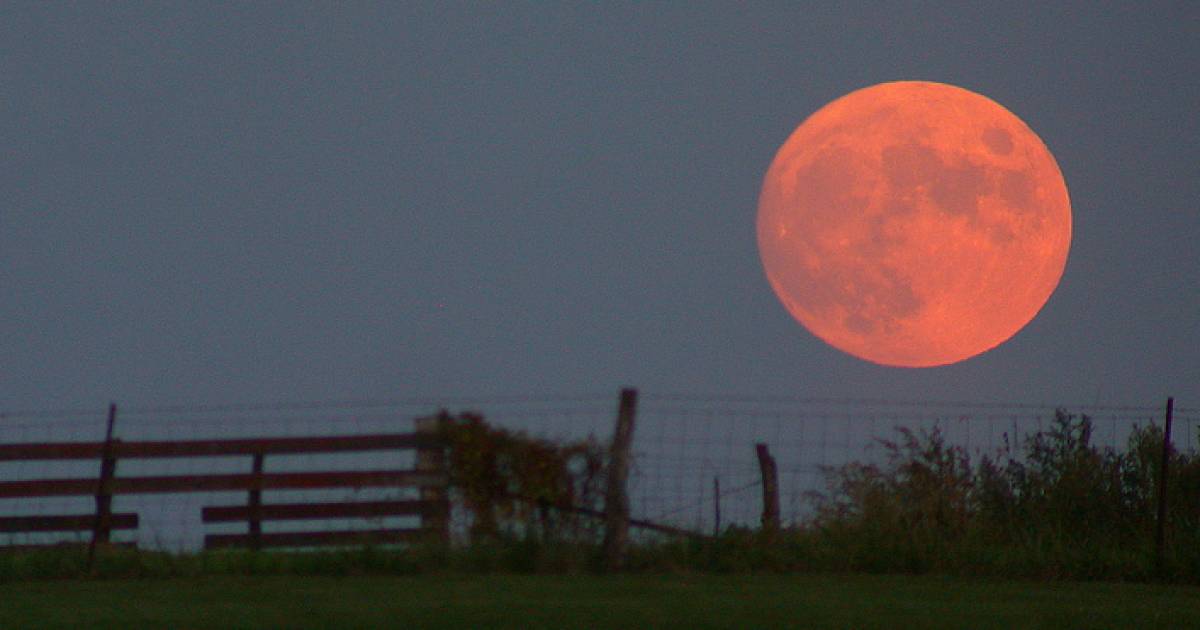 Beaver moon eclipsed by Earth's shadow tonight