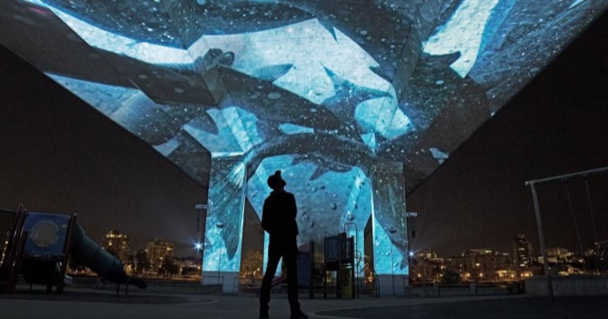 Filmmaker Nettie Wild finds uncharted oceans in Go Fish 