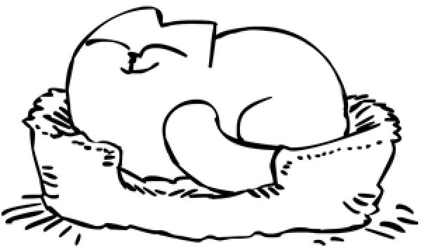 Cuteness of the day: Simon's Cat gets cuddle attacked by kitten