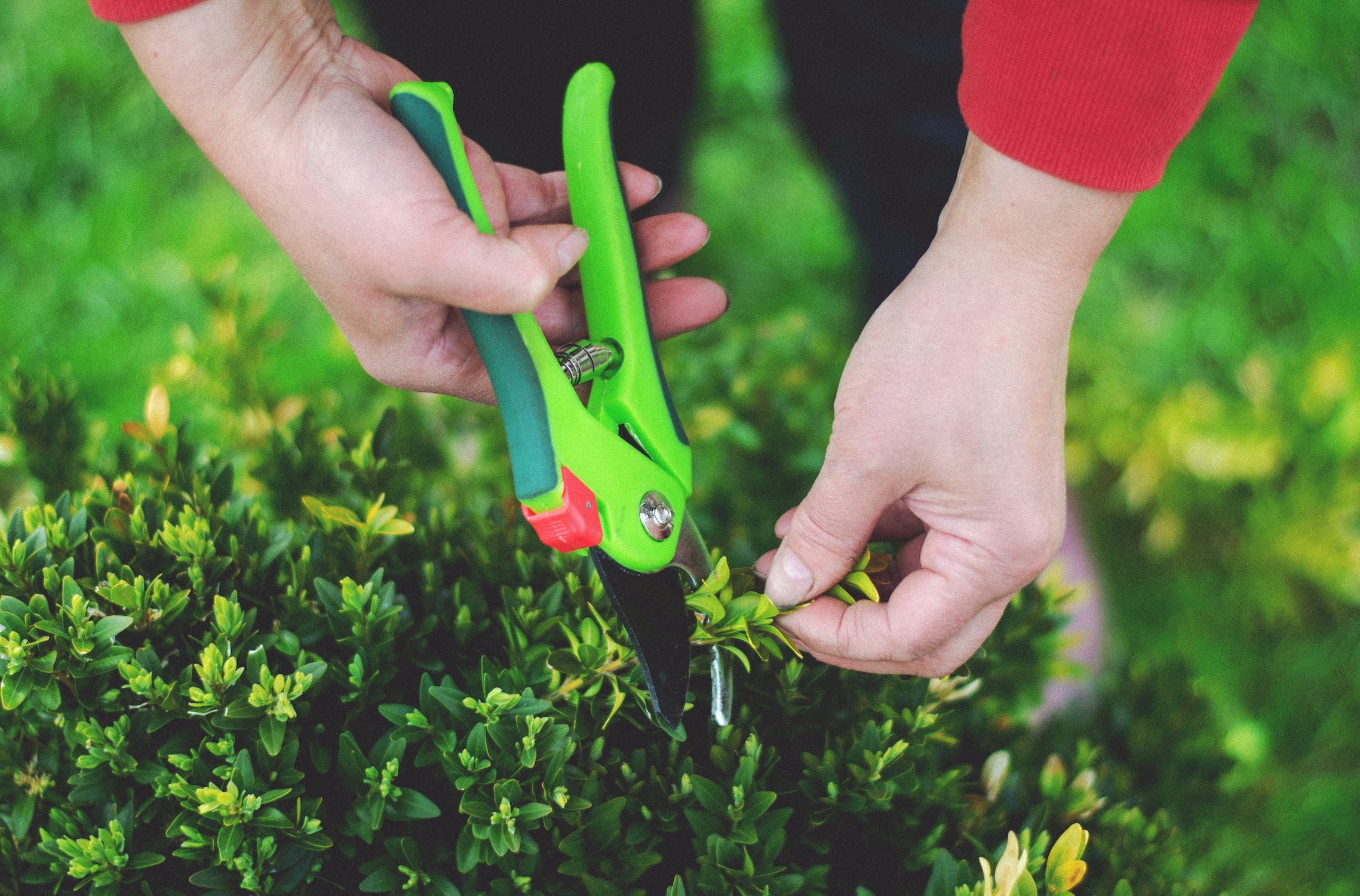Pruning Shears For Gardening, 3 Times Easier To Work, Friendly To  Arthritis, Carpal Tunnel Syndrome And Small Hands, Comfortable, Sharp,  Durable, Sturdy Ratchet Garden Clippers - Temu