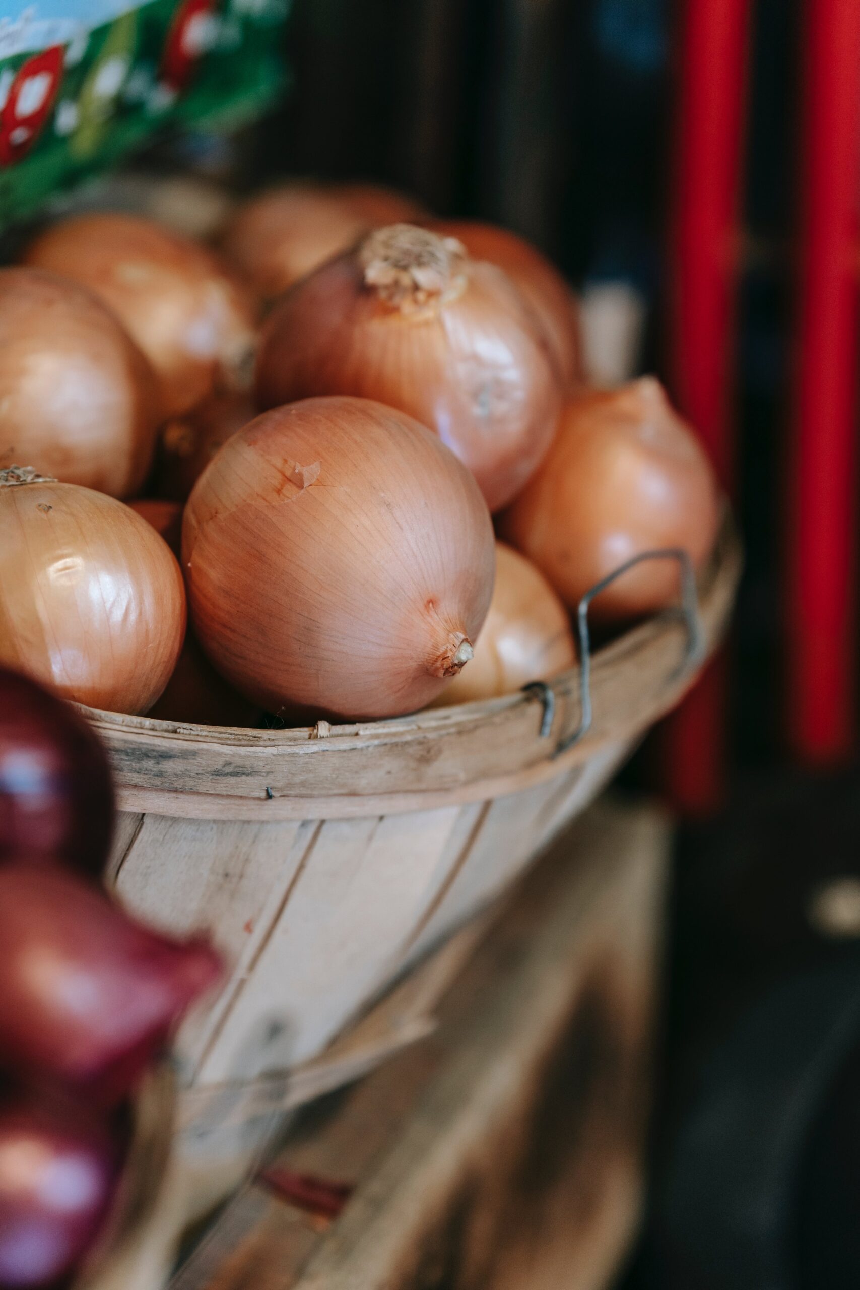 Top 5 Best Onion Storage in 2024
