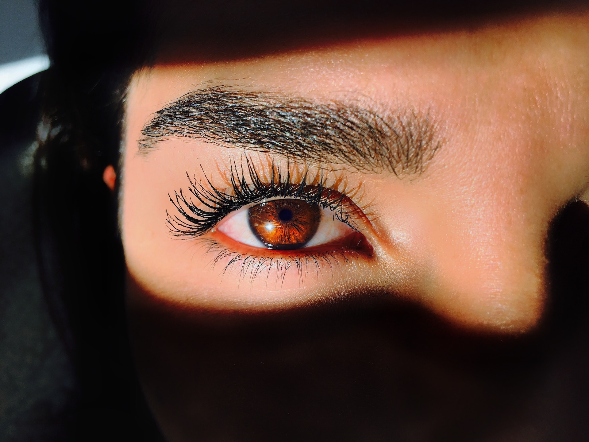 best oil for eyebrow growth