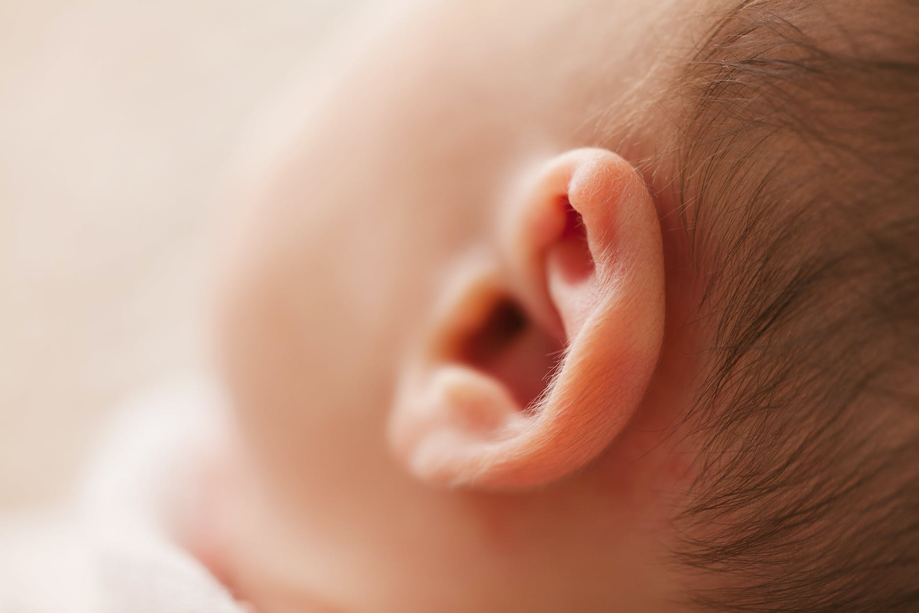 Best Oil for Dissolving Ear Wax
